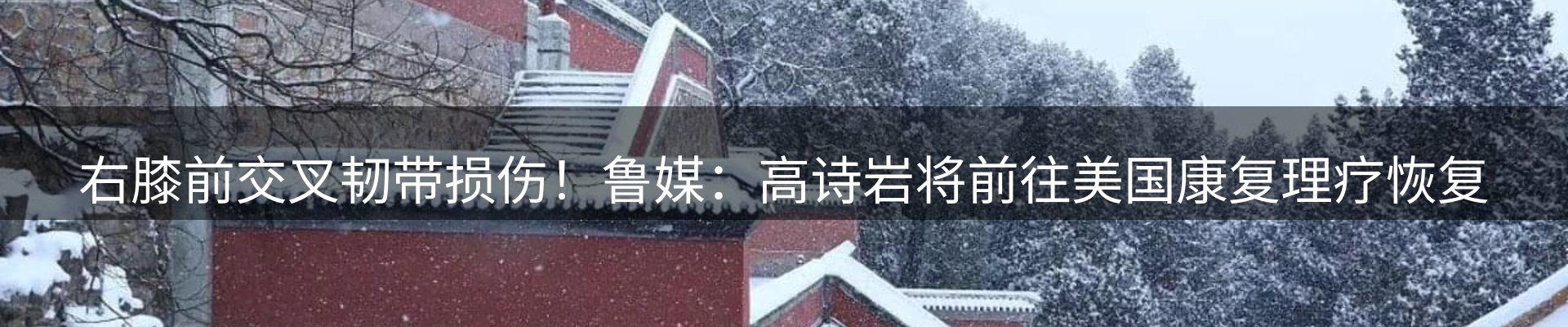 最新资讯