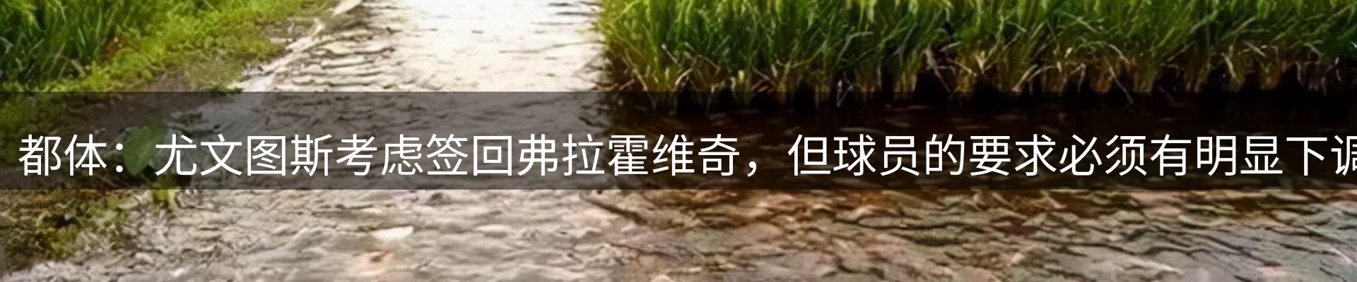 最新资讯