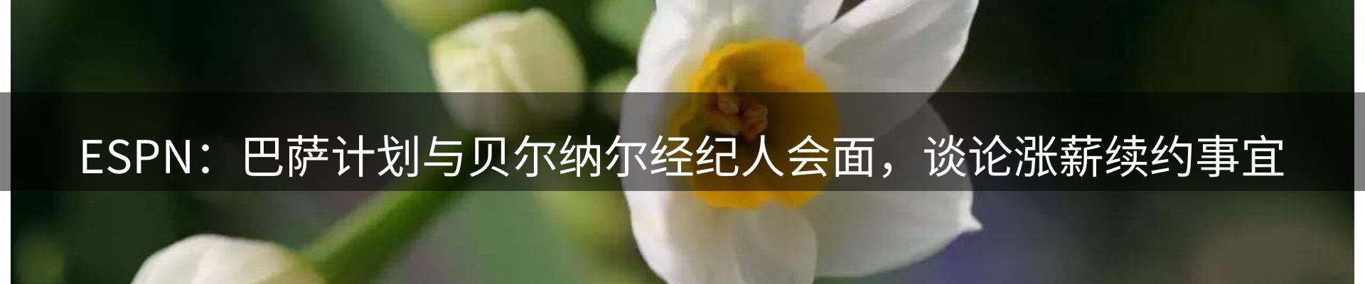 官方快讯